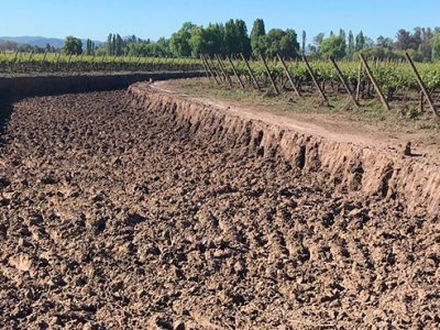 Arriendo de maquinaria agrícola en Curicó y alrededores: potencia para el campo
