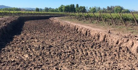 Arriendo de maquinaria agrícola en Curicó y alrededores: potencia para el campo