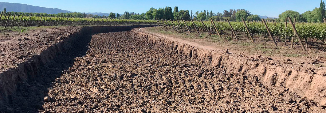 Arriendo de maquinaria agrícola en Curicó y alrededores: potencia para el campo